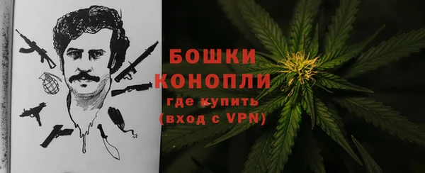 PSILOCYBIN Абдулино