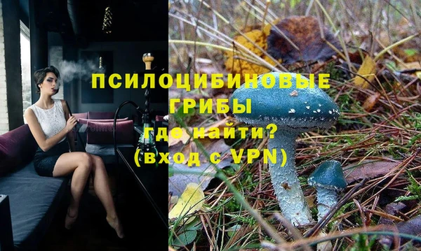 PSILOCYBIN Абдулино