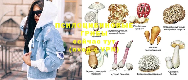 PSILOCYBIN Абдулино
