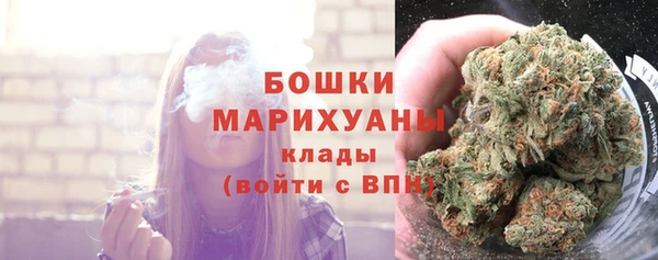 шишки Няндома